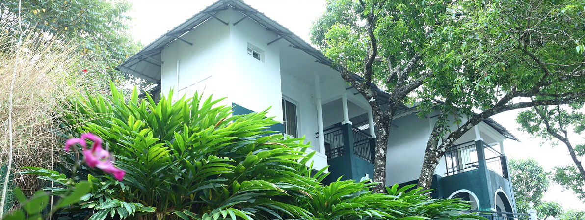 Munnar Tea Hills Resort