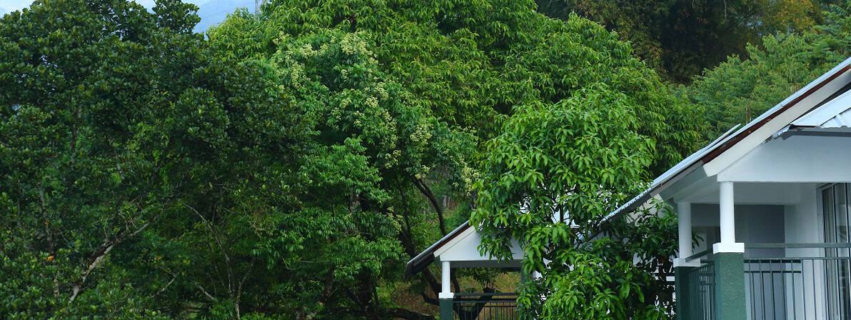 Munnar Tea Hills Resort