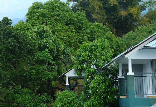Munnar Tea Hills Resort
