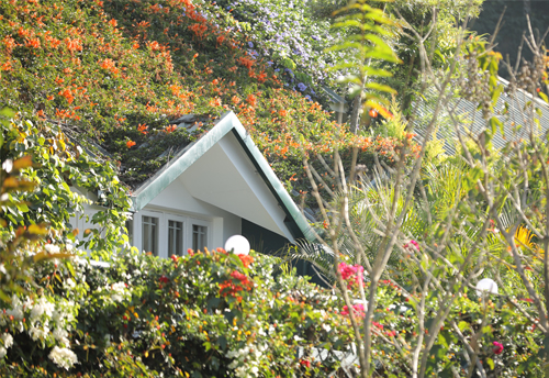 Munnar Tea Hills Resort