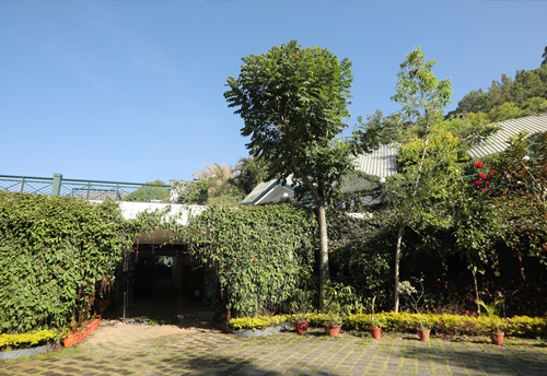 Munnar Tea Hills Resort