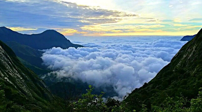 Munnar Tea Hills Resort